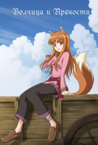 Волчица и пряности Смотреть Animego Все Сезоны Подряд Бесплатно