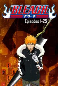 Блич Смотреть Animego Все Сезоны Подряд Бесплатно