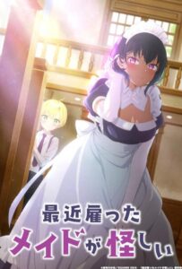 Моя новая горничная очень подозрительна Смотреть Animego Все Сезоны Подряд Бесплатно