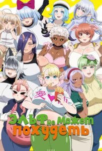 Эльф не может похудеть Смотреть Animego Все Сезоны Подряд Бесплатно